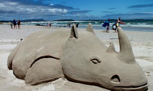 Renoster plesier in Franskraal